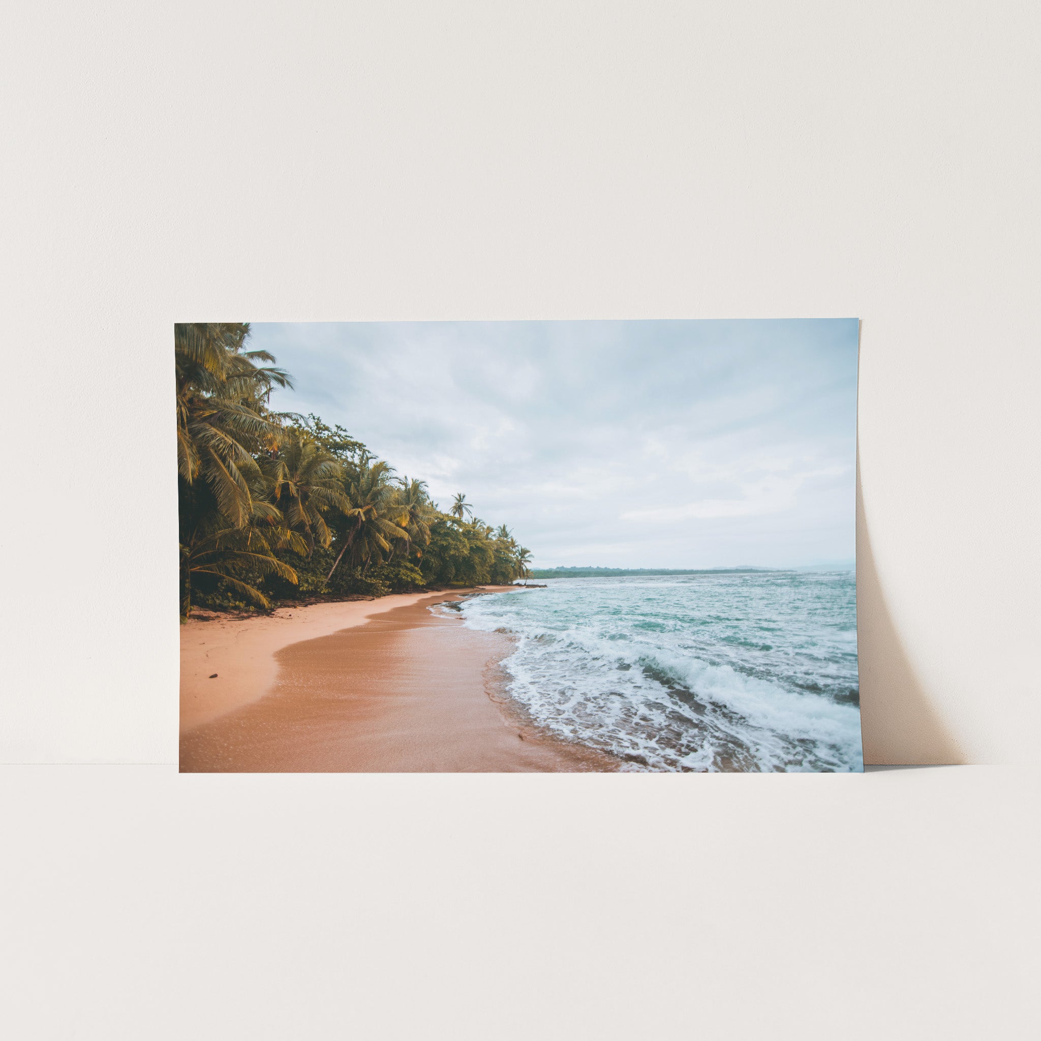 a picture of a beach with palm trees