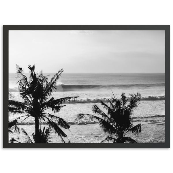 a black and white photo of a beach with palm trees