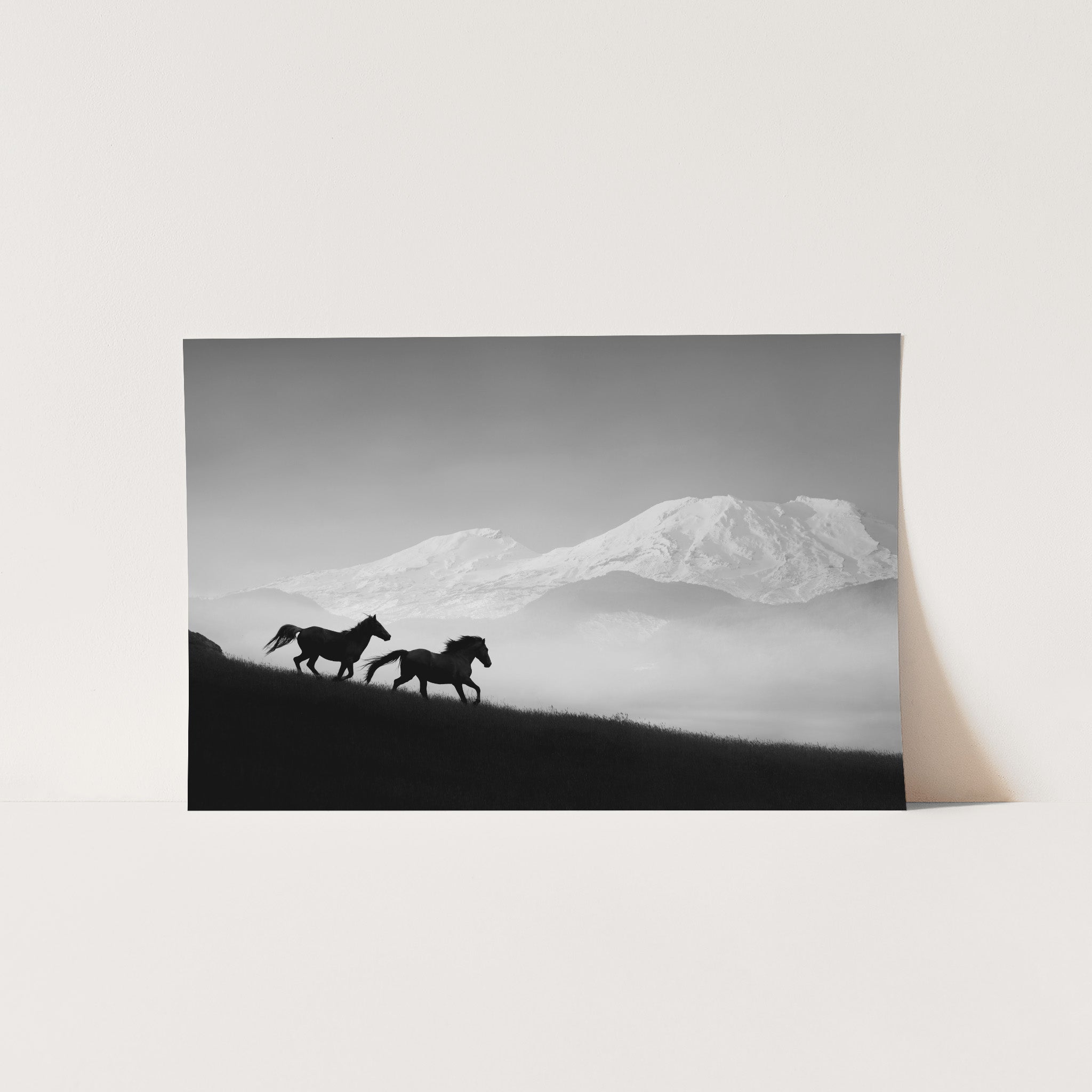 a black and white photo of two horses on a hill