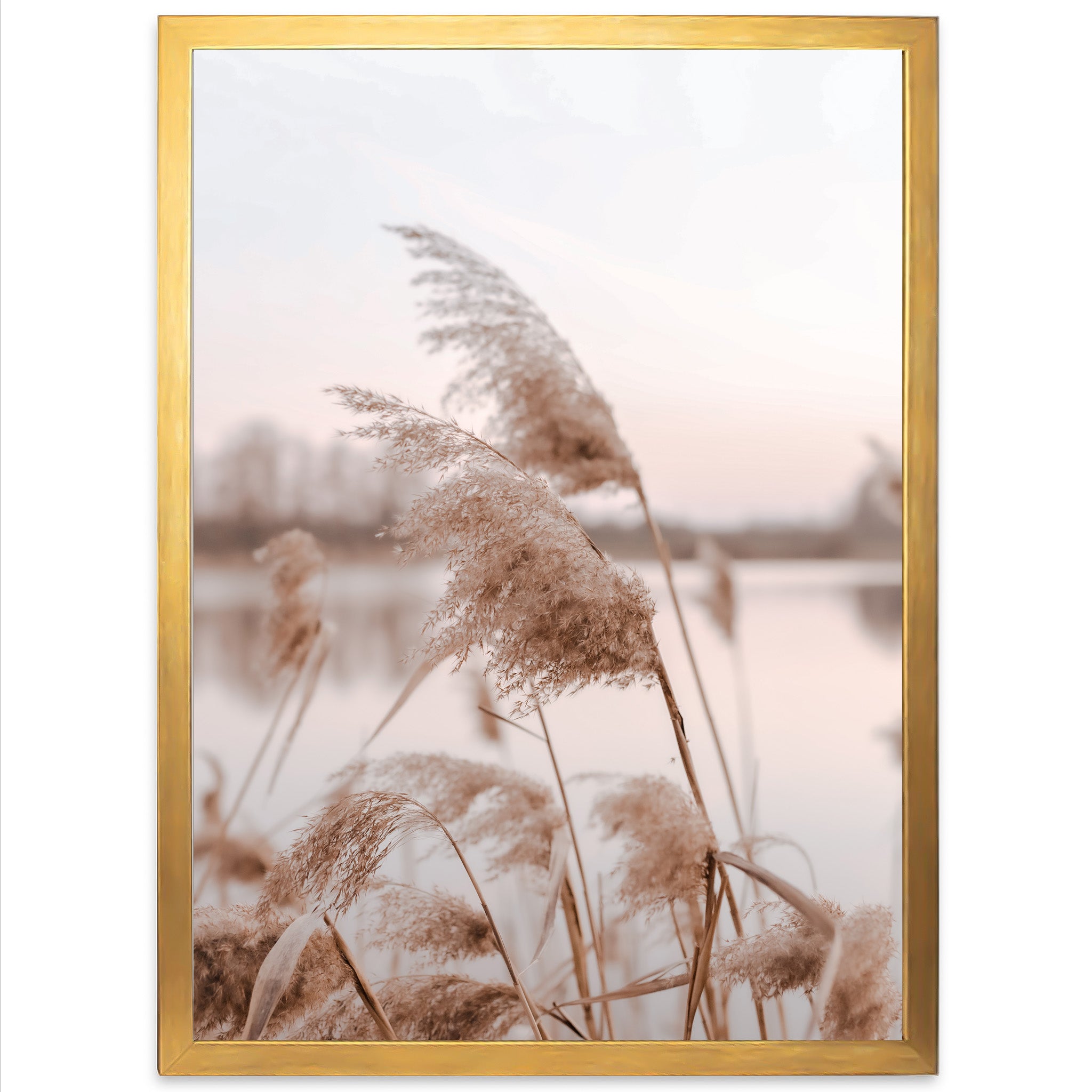 a picture of some plants by a body of water