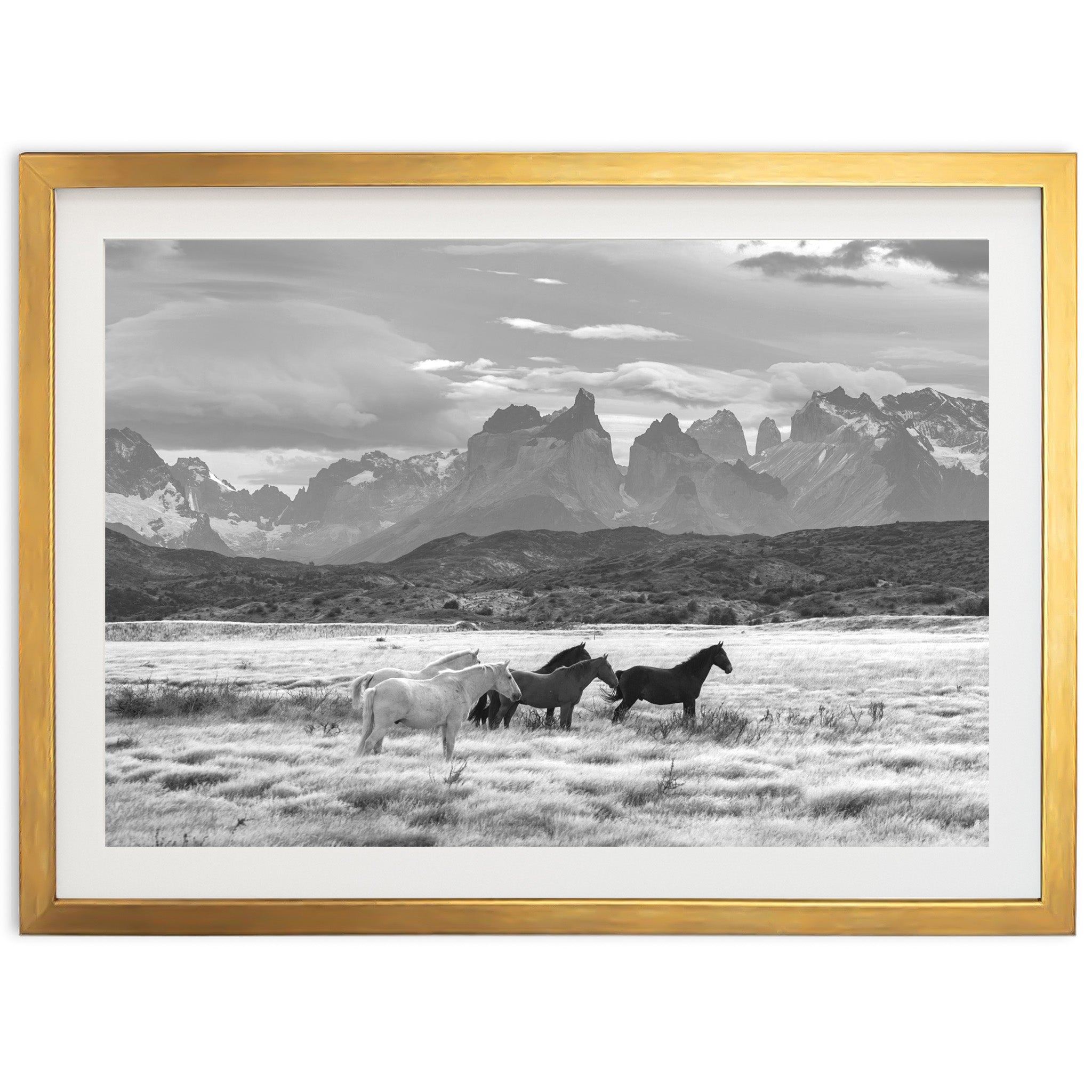 a black and white photo of horses in a field