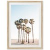 a group of palm trees on a beach