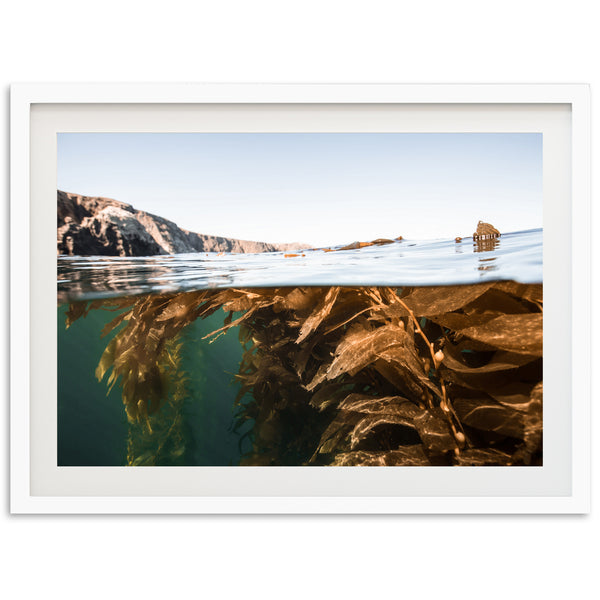 a picture of a boat floating in the water