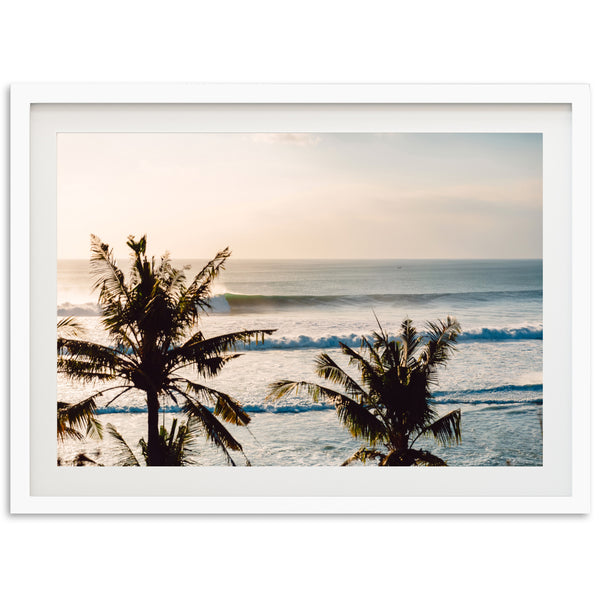 a picture of a beach with palm trees