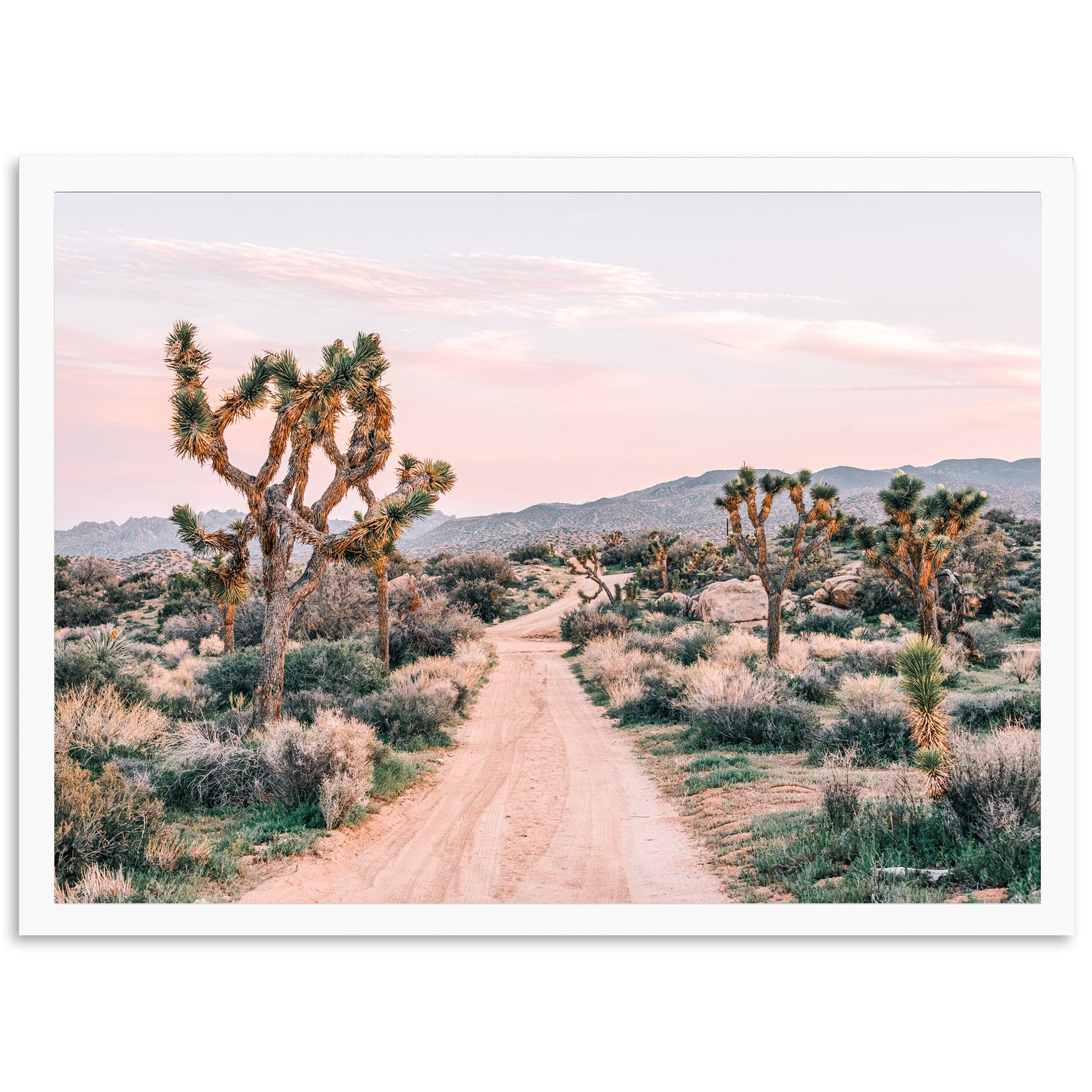 a dirt road in the middle of a desert