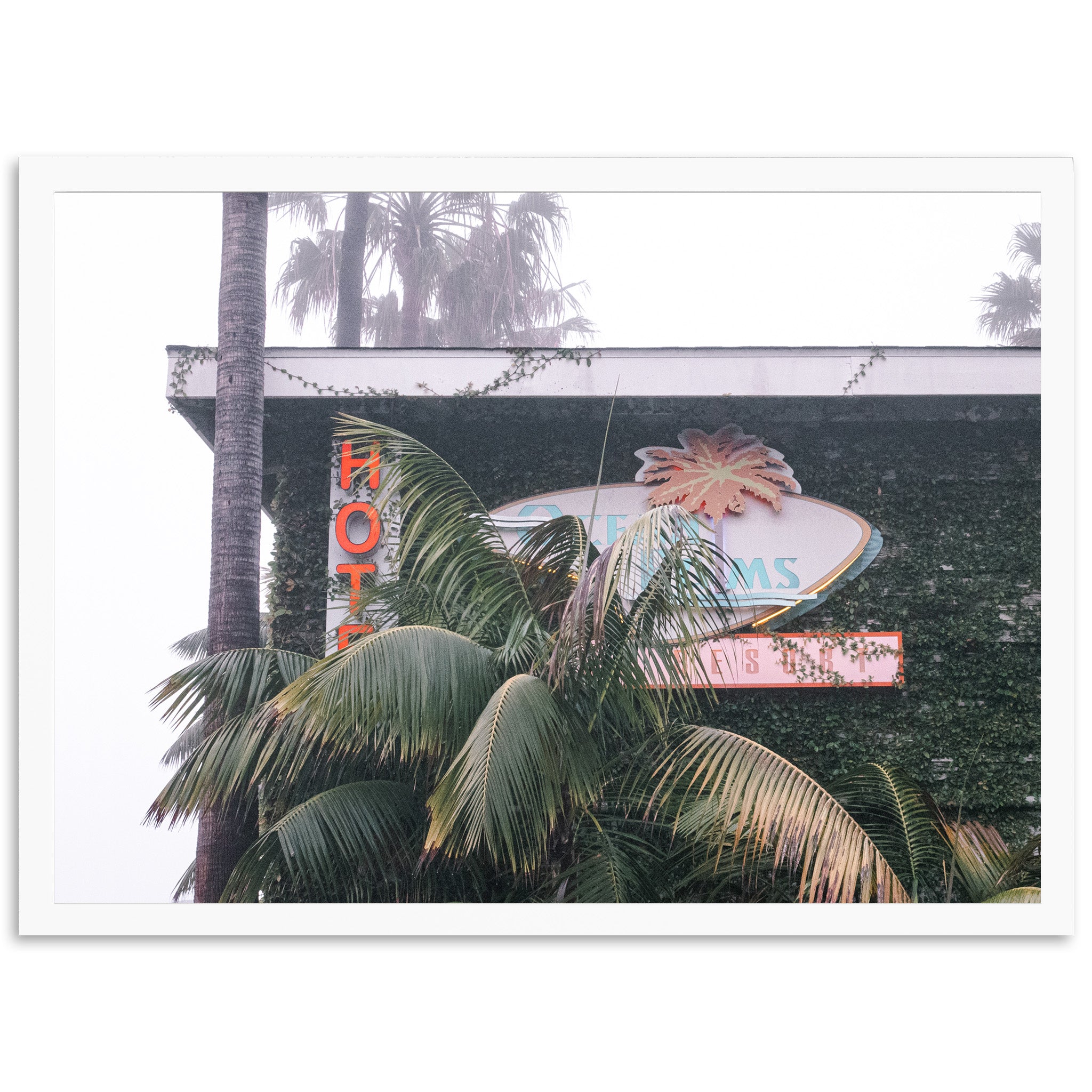 a palm tree and a neon sign in front of a building