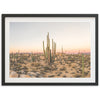 a picture of a desert with cactus trees