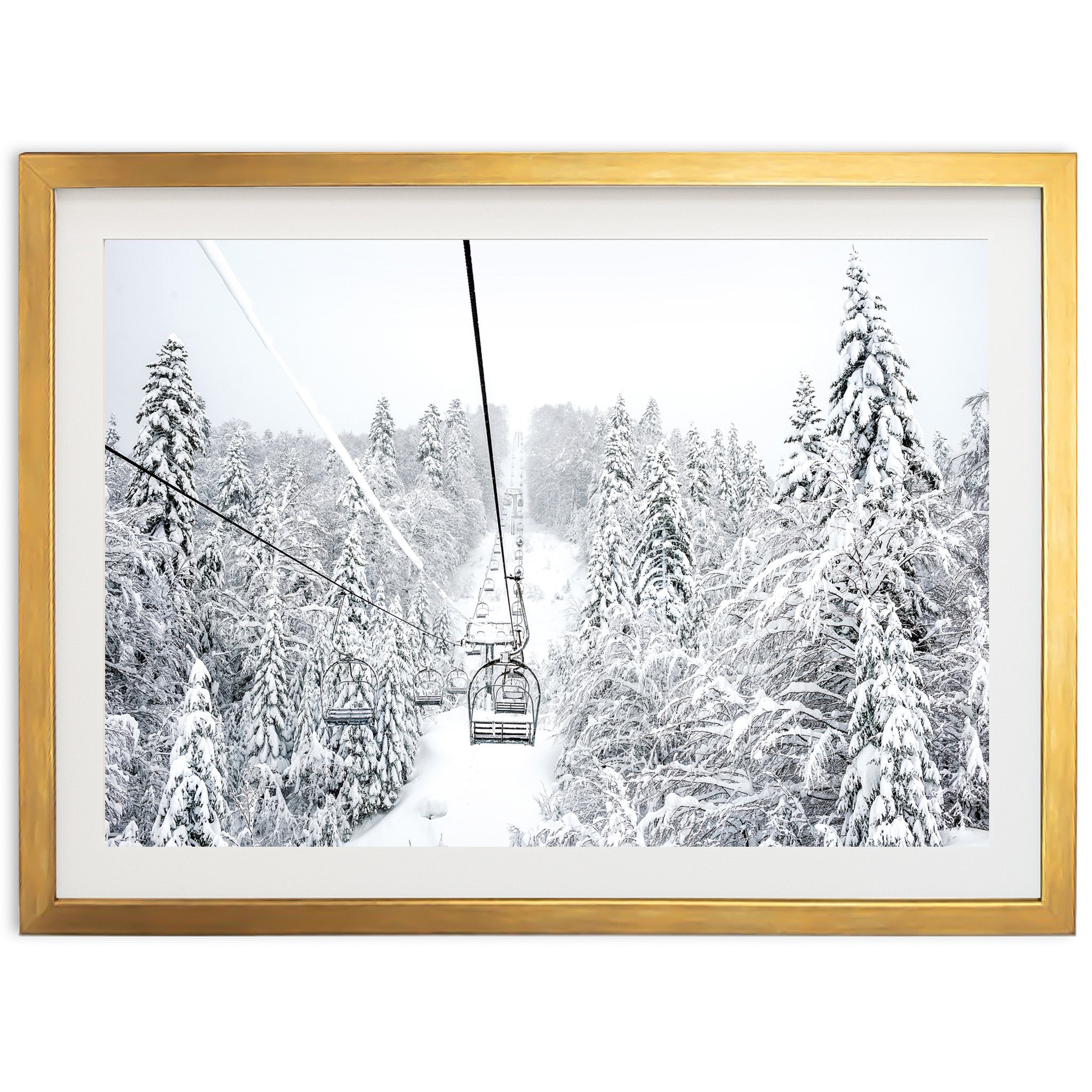 a picture of a ski lift in a snowy forest