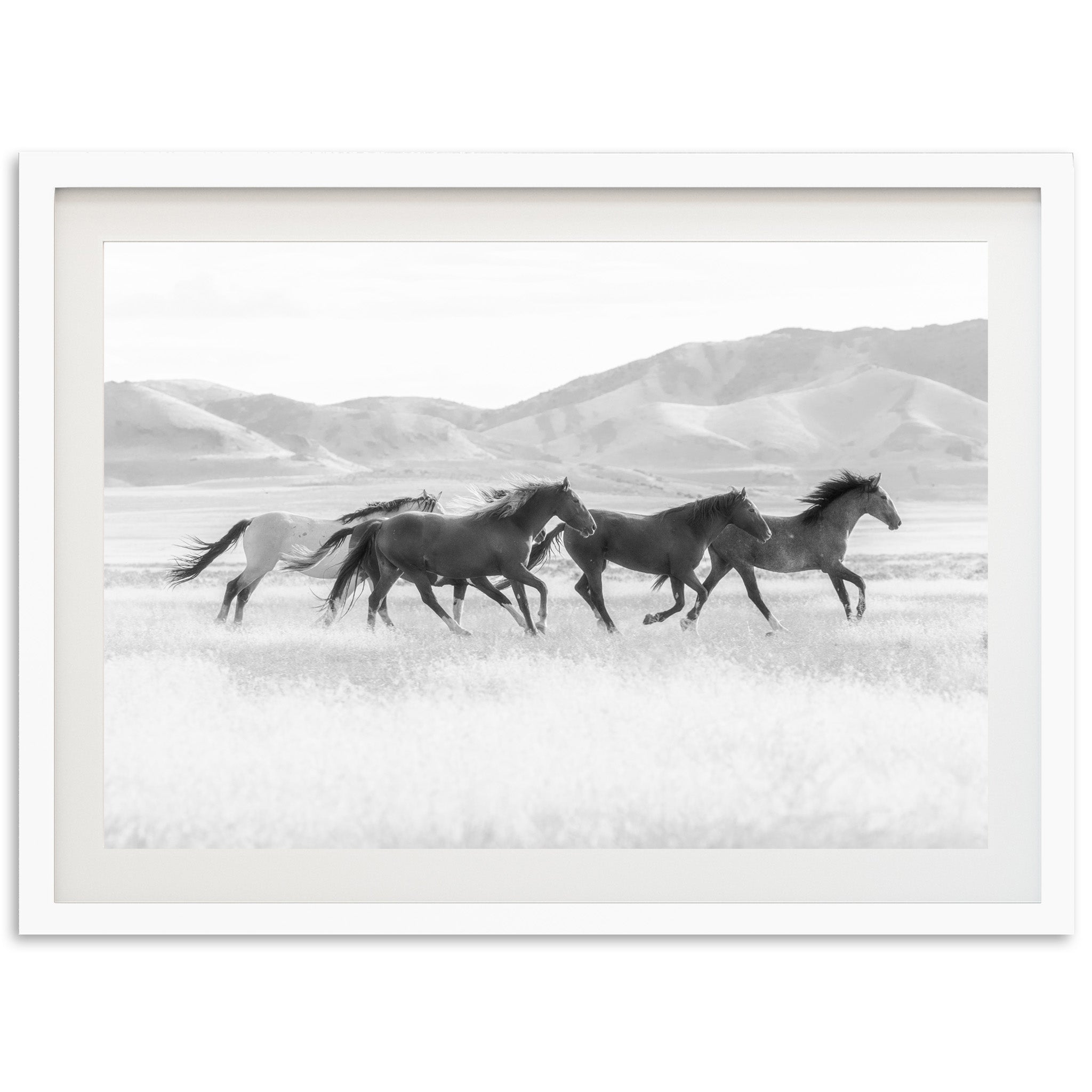 a black and white photo of three horses running in a field