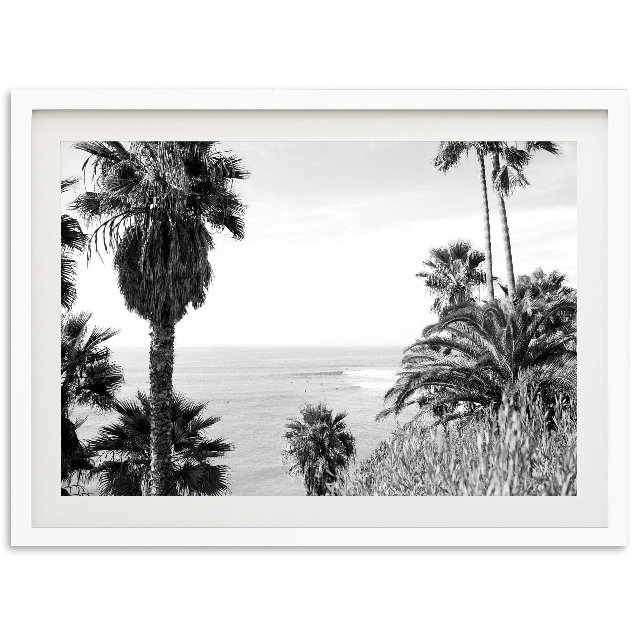 a black and white photo of palm trees and the ocean