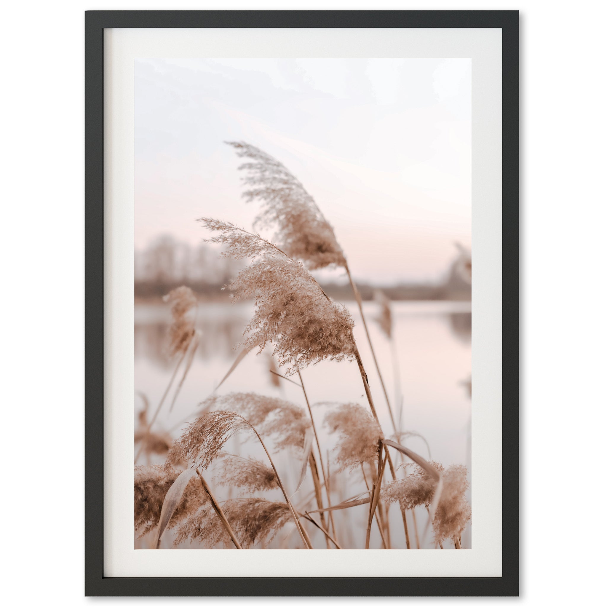 a picture of some grass by a body of water