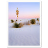 a desert scene with a lone tree in the foreground