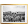 a black and white photo of a long horn cow