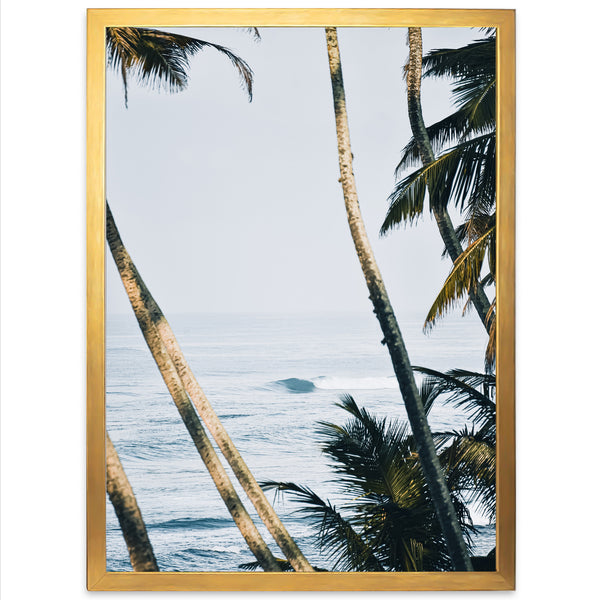 a picture of palm trees and the ocean