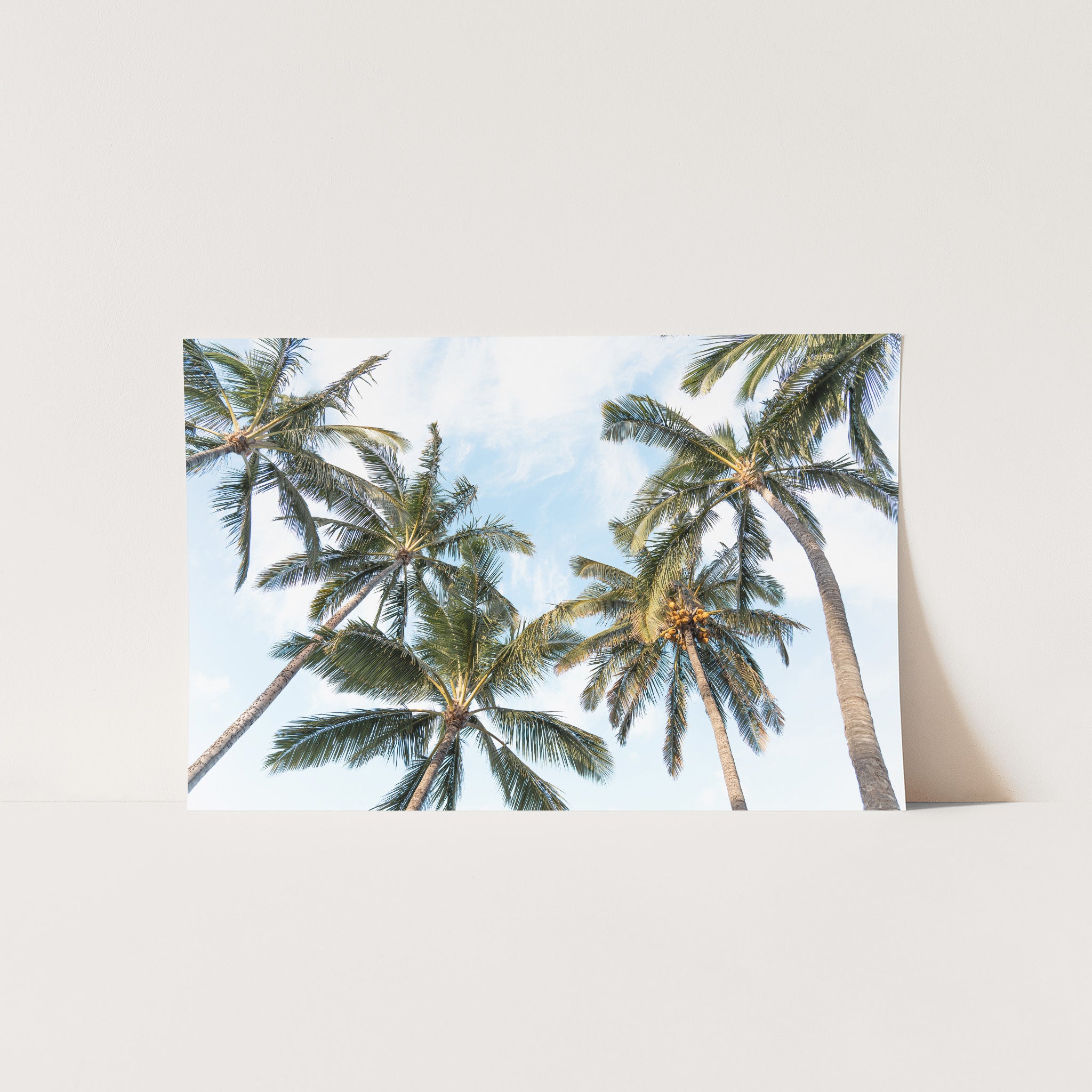 a polaroid photo of palm trees against a blue sky