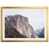 a picture of a mountain with a bird perched on top of it