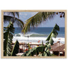 a picture of a beach with a palm tree in the foreground