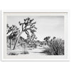 a black and white photo of a joshua tree