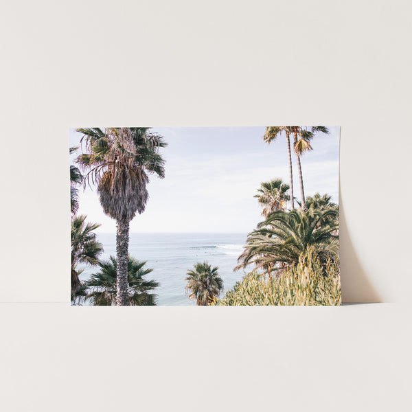 a picture of palm trees and the ocean