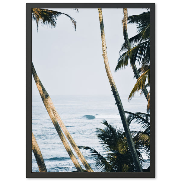 a picture of palm trees and the ocean