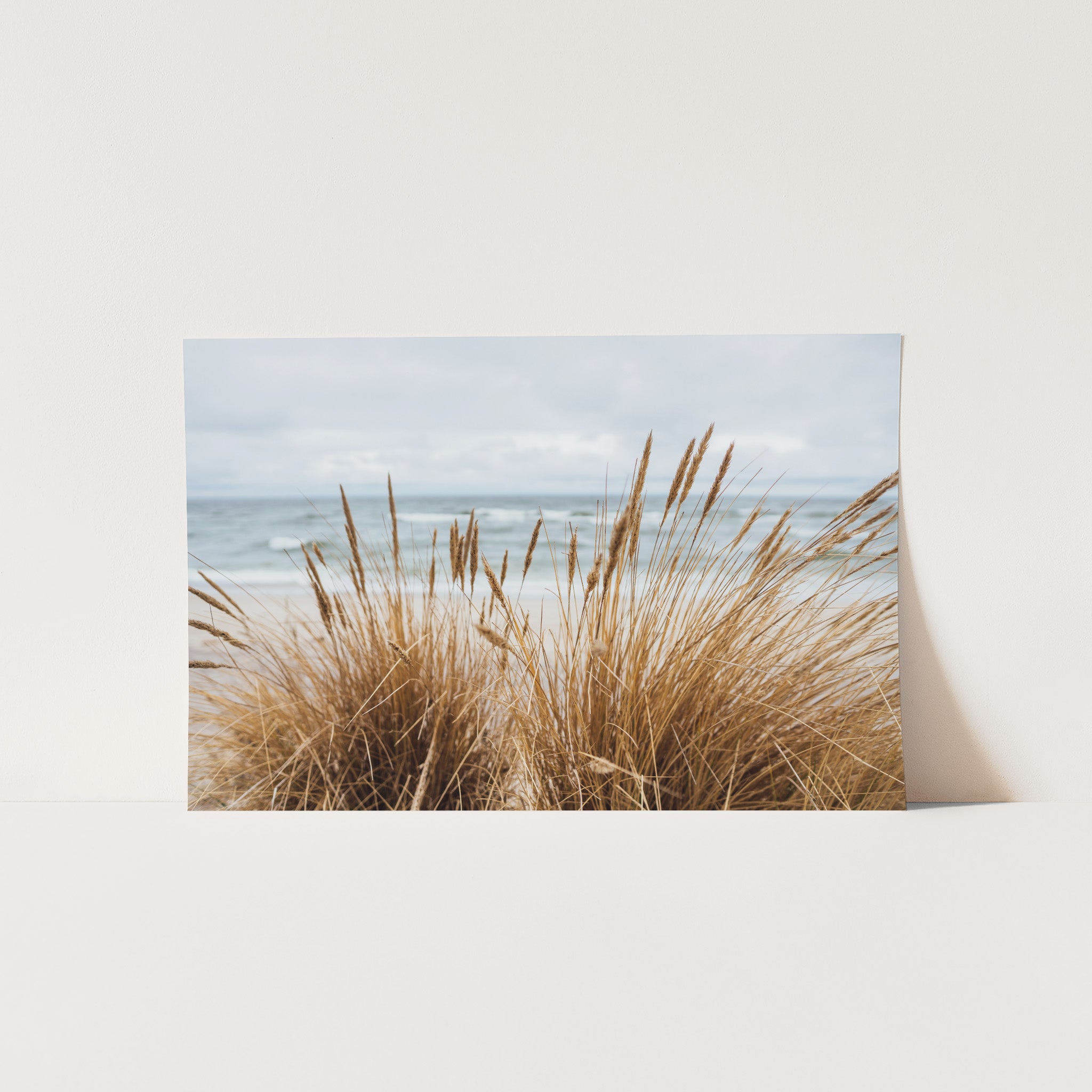 a picture of a beach with some grass in the foreground