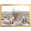 a picture of a desert with a cactus in the foreground