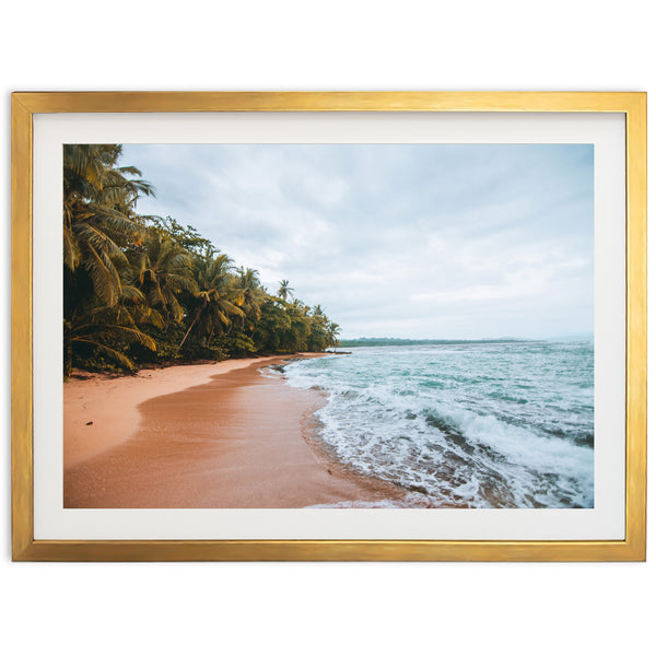 a picture of a beach with palm trees