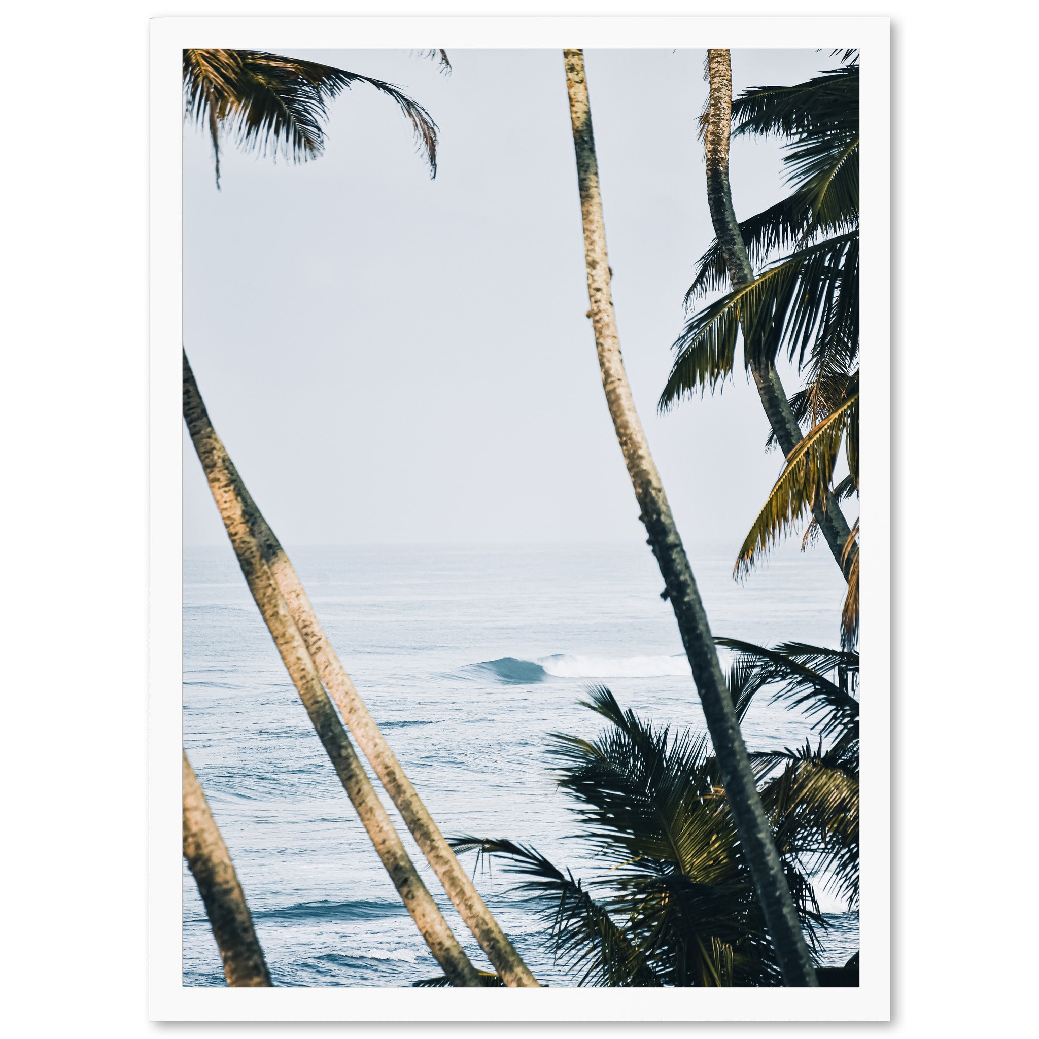 a view of the ocean through palm trees