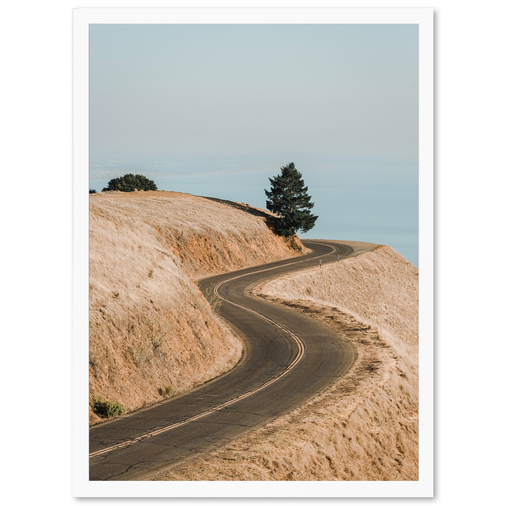 a dirt road with a tree on top of it