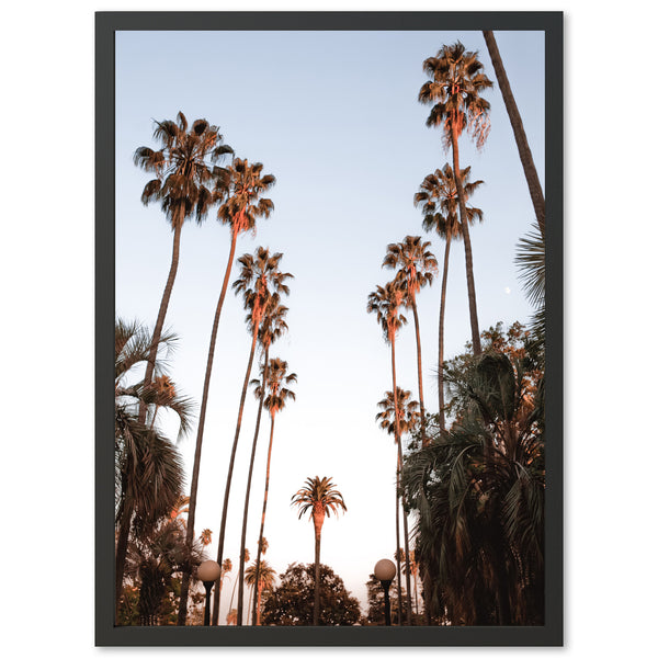 a picture of palm trees with a blue sky in the background