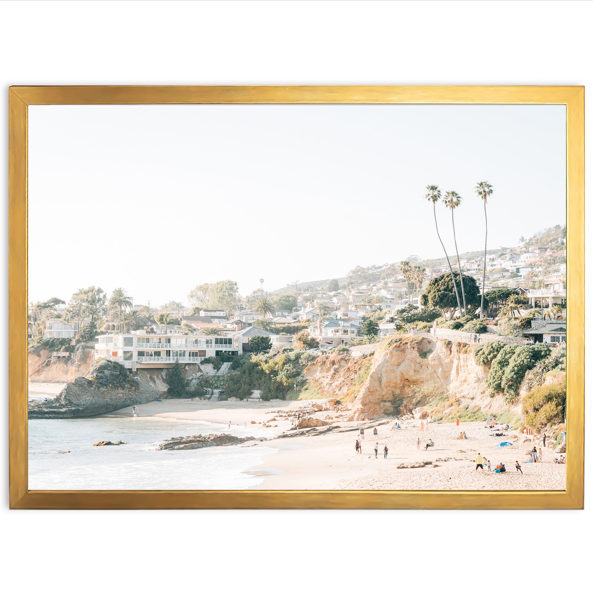 a picture of a beach with palm trees in the background