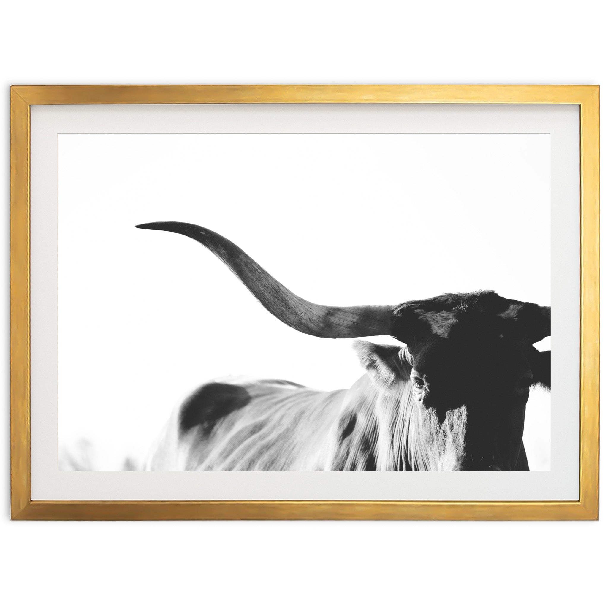 a black and white photo of a cow with long horns