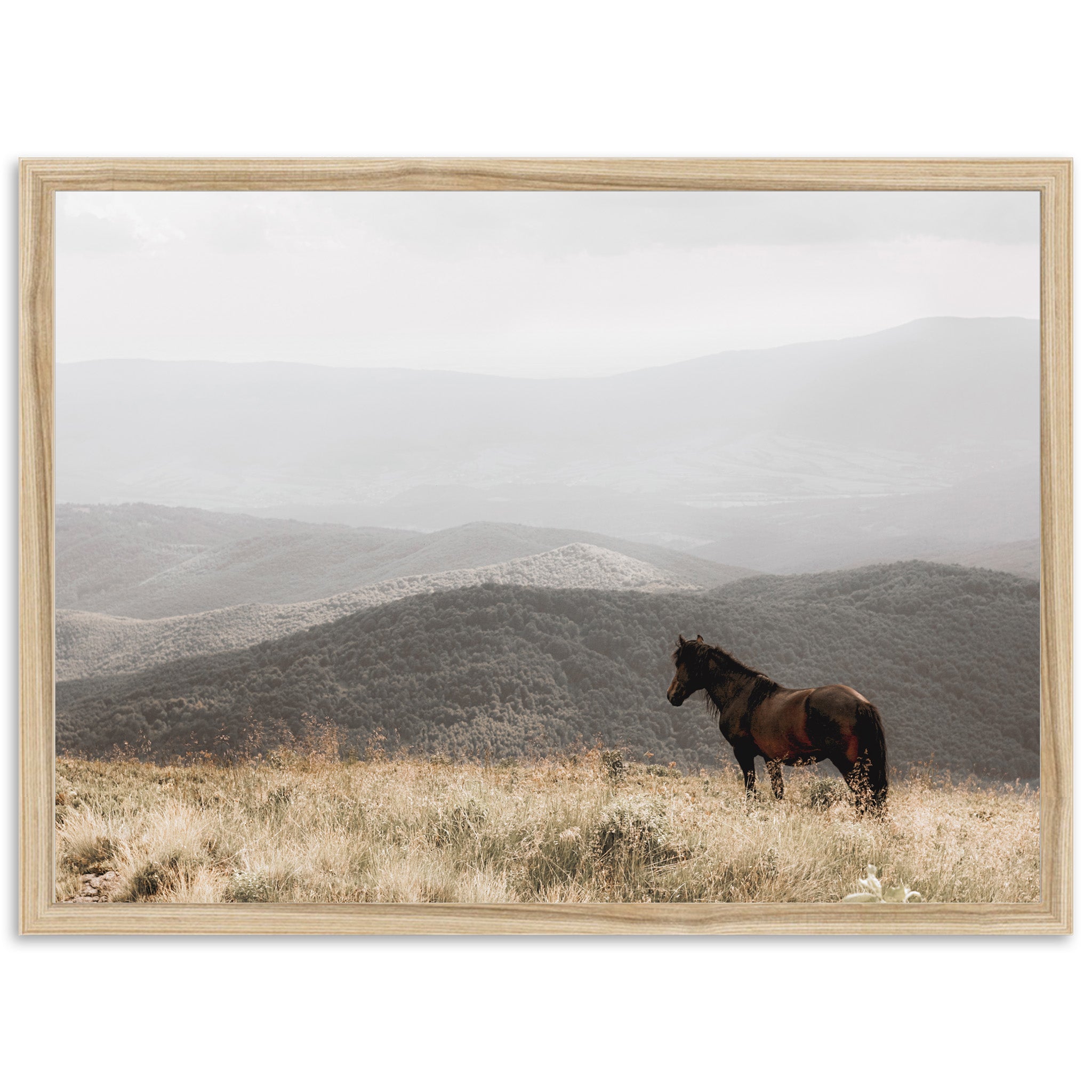 a horse standing in a field with mountains in the background