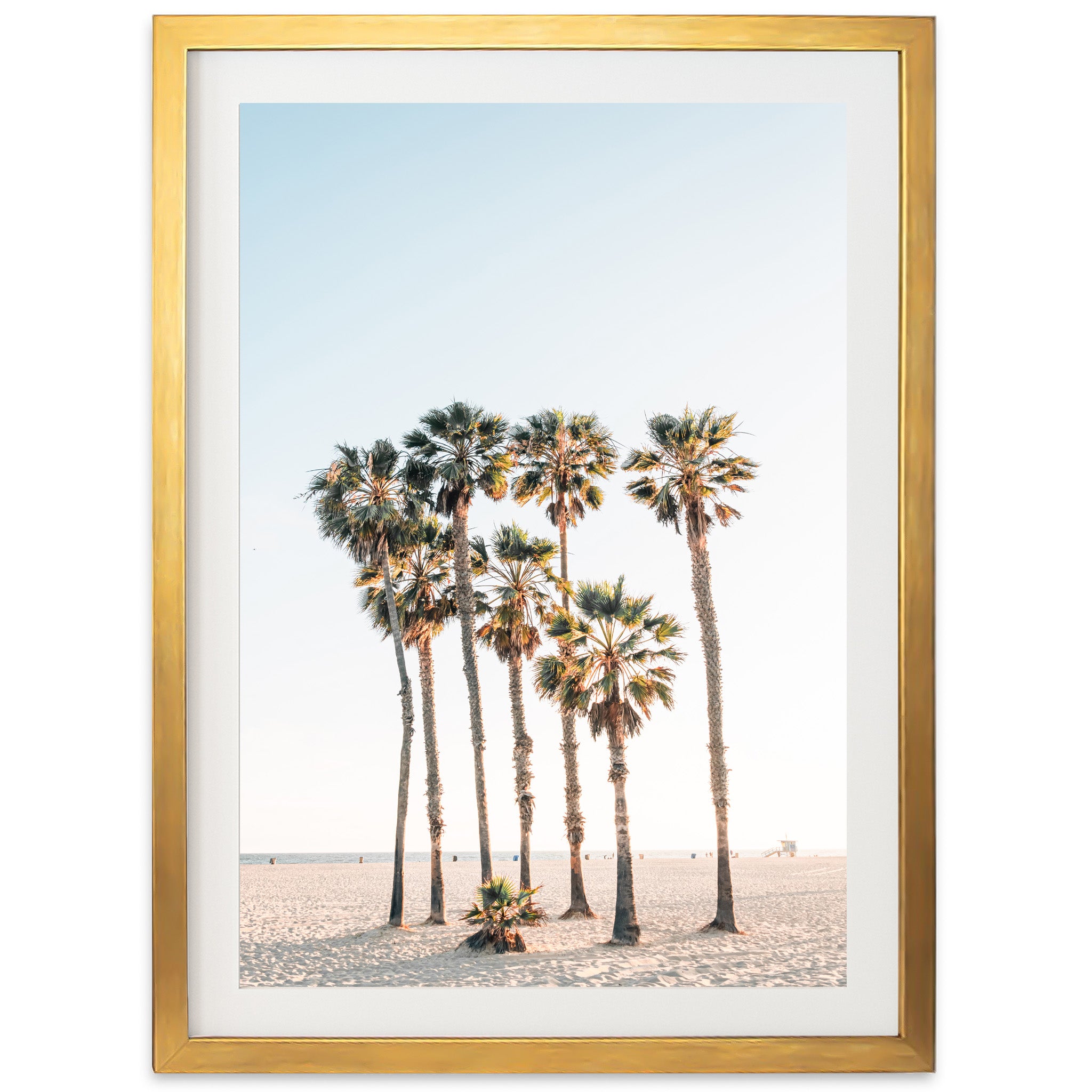 a framed photograph of palm trees on a beach