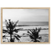 a black and white photo of a beach with palm trees