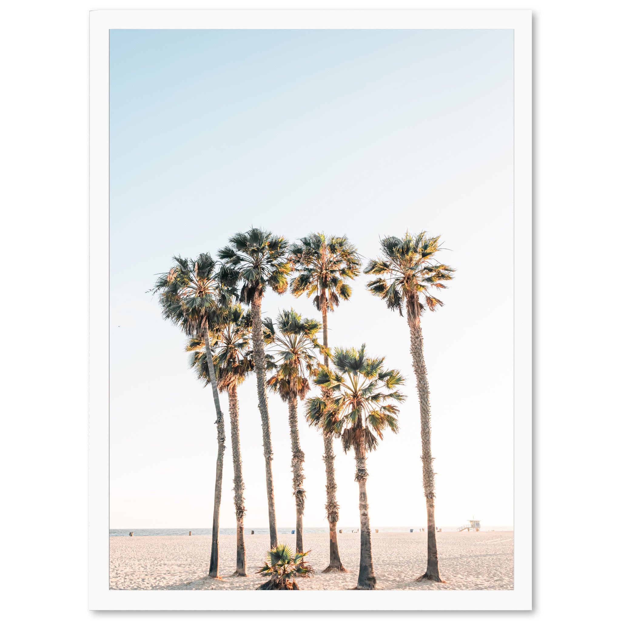 a group of palm trees on a beach