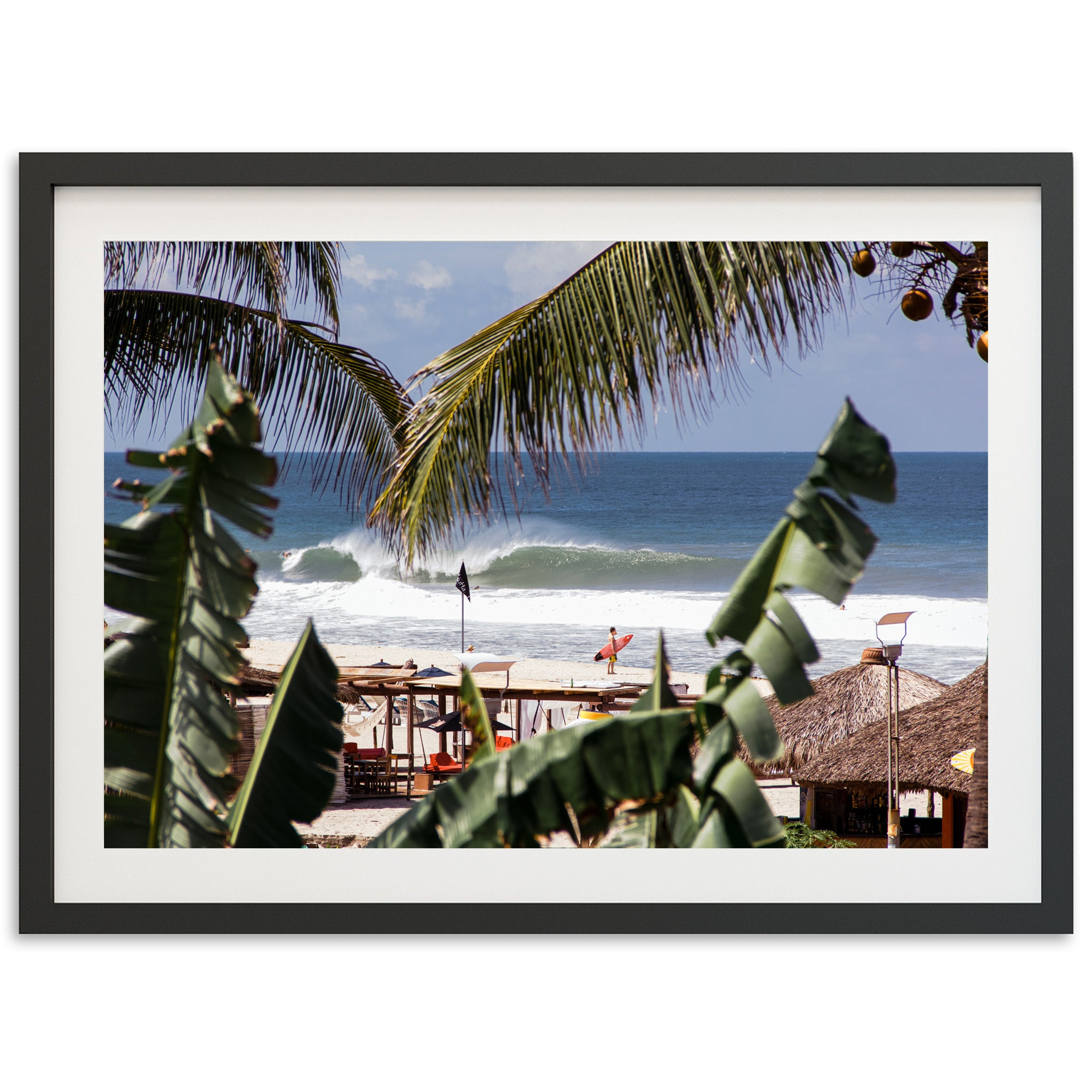 a picture of a beach with a palm tree