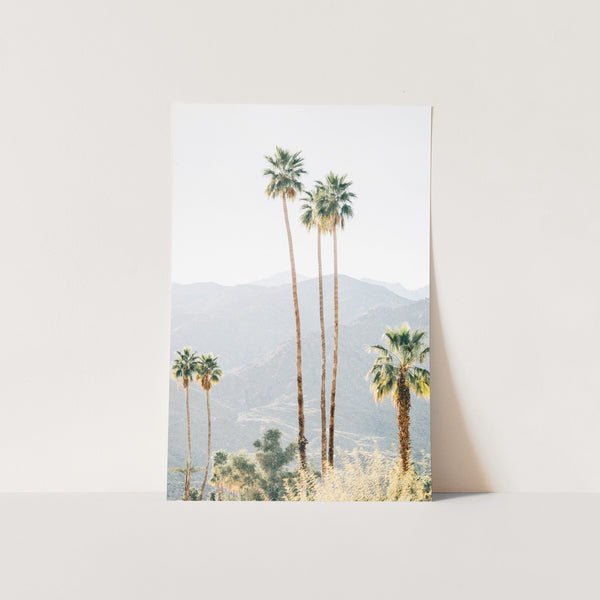 a photograph of palm trees in front of a mountain range