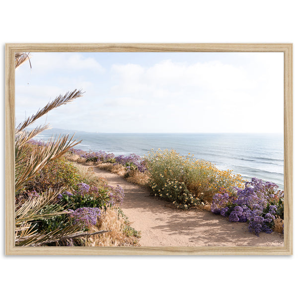 a picture of a path leading to the ocean