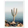 a cactus on a rocky cliff overlooking the ocean