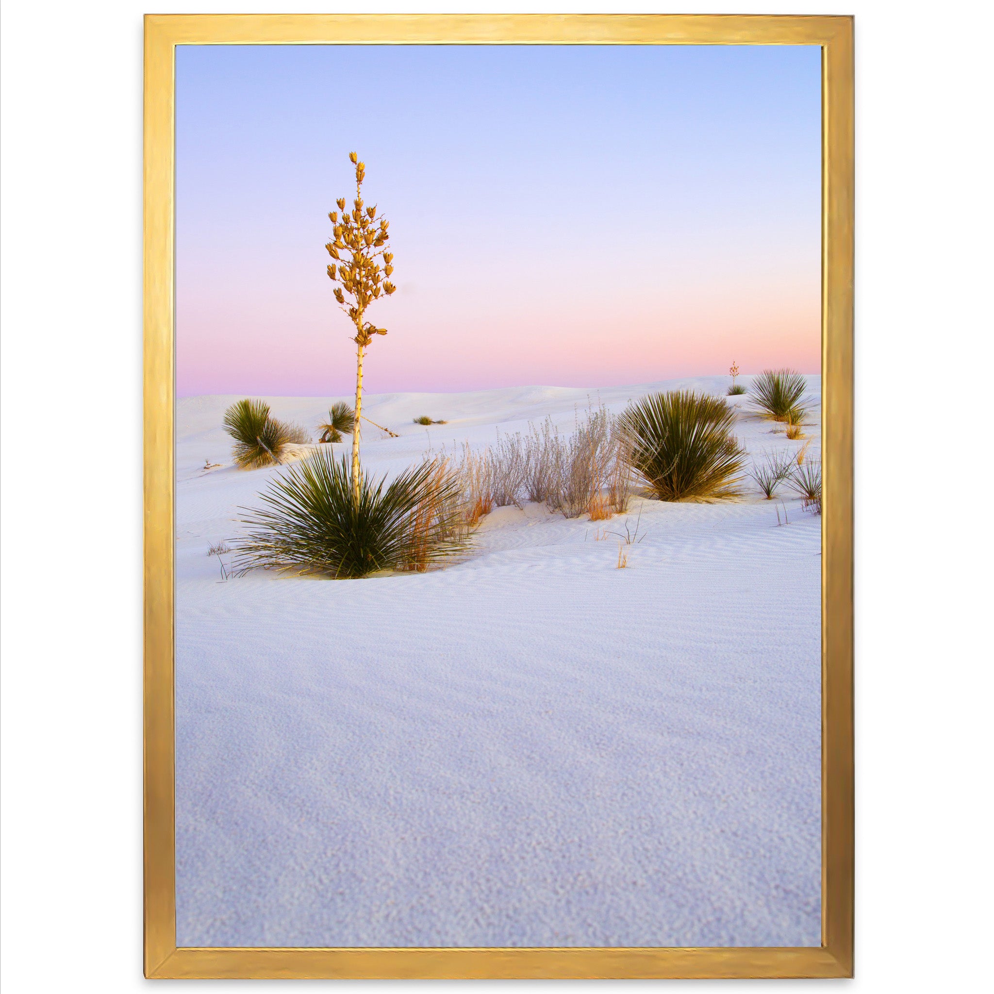 a picture of a desert with a small tree in the middle of it