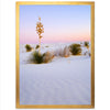 a picture of a desert with a small tree in the middle of it