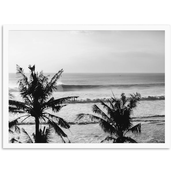 a black and white photo of a beach with palm trees