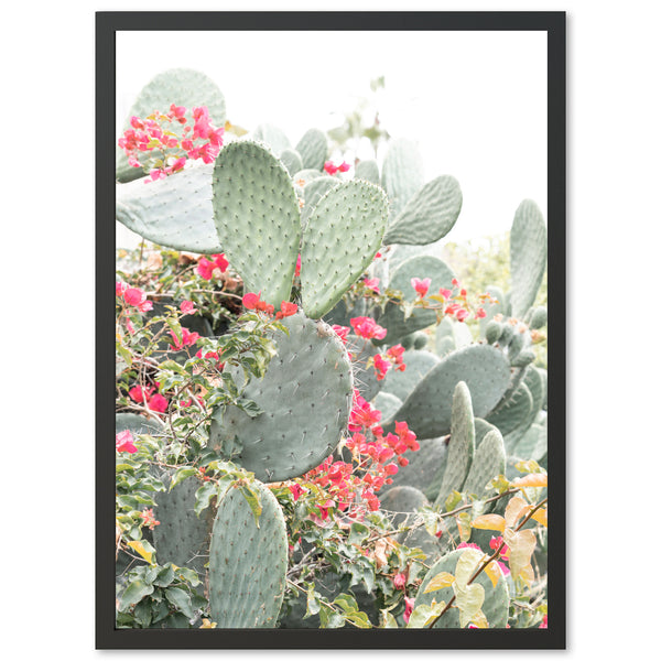 a picture of a cactus with red flowers in the background