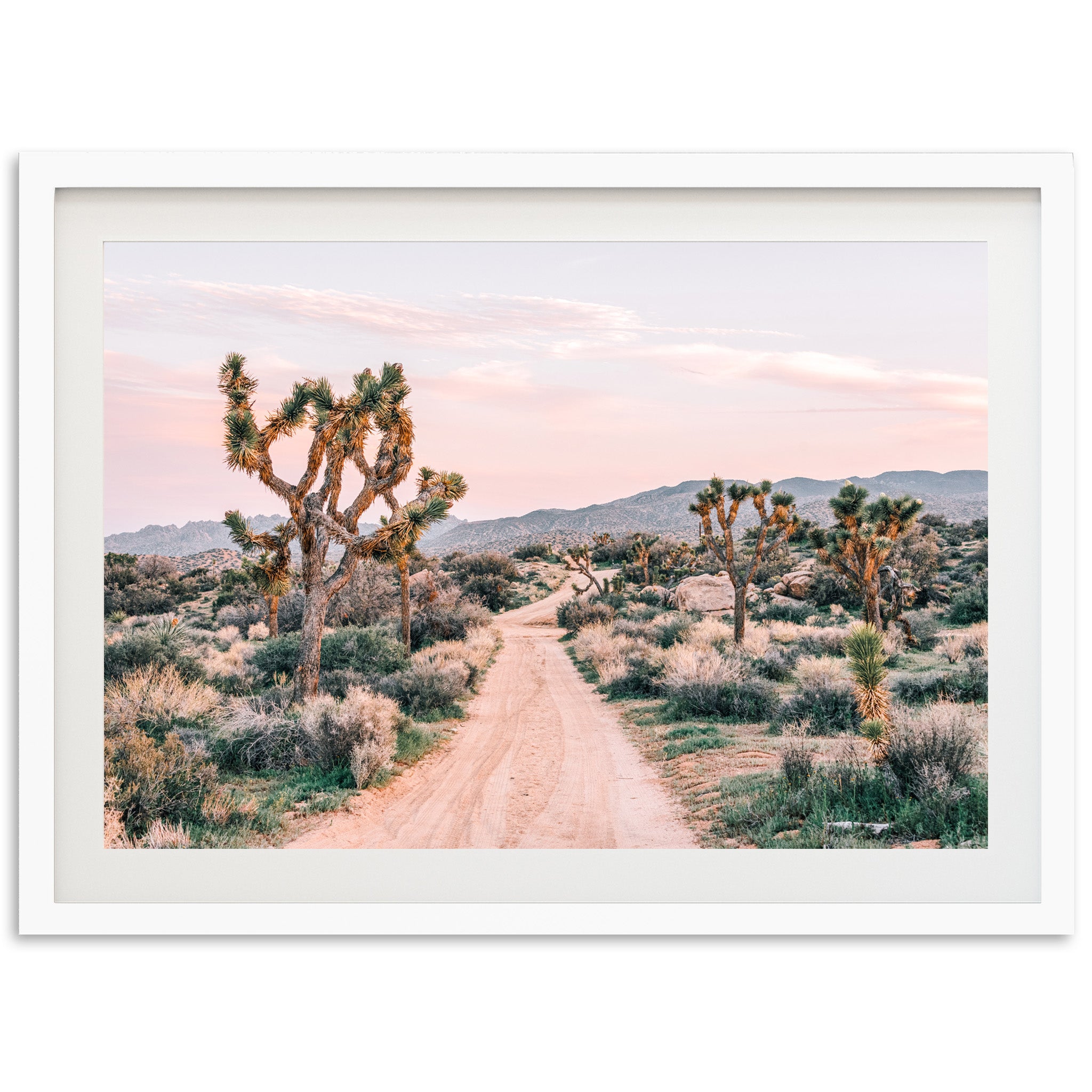 a picture of a dirt road in the desert