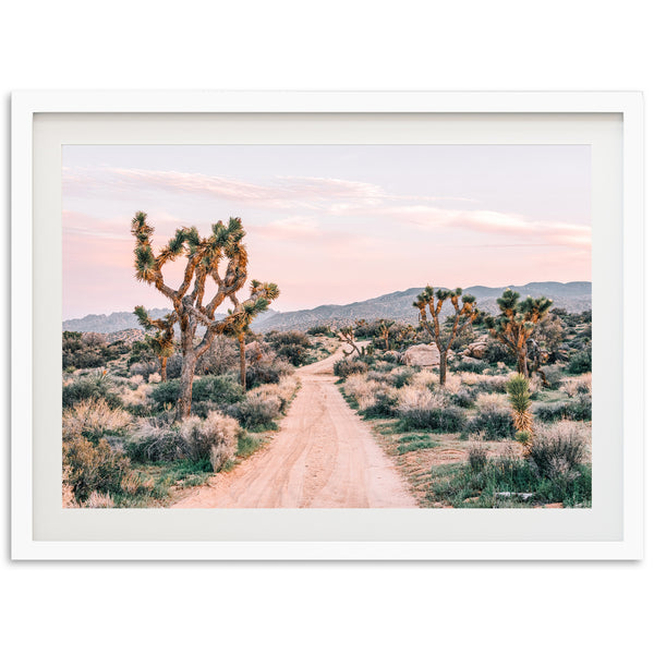 a picture of a dirt road in the desert