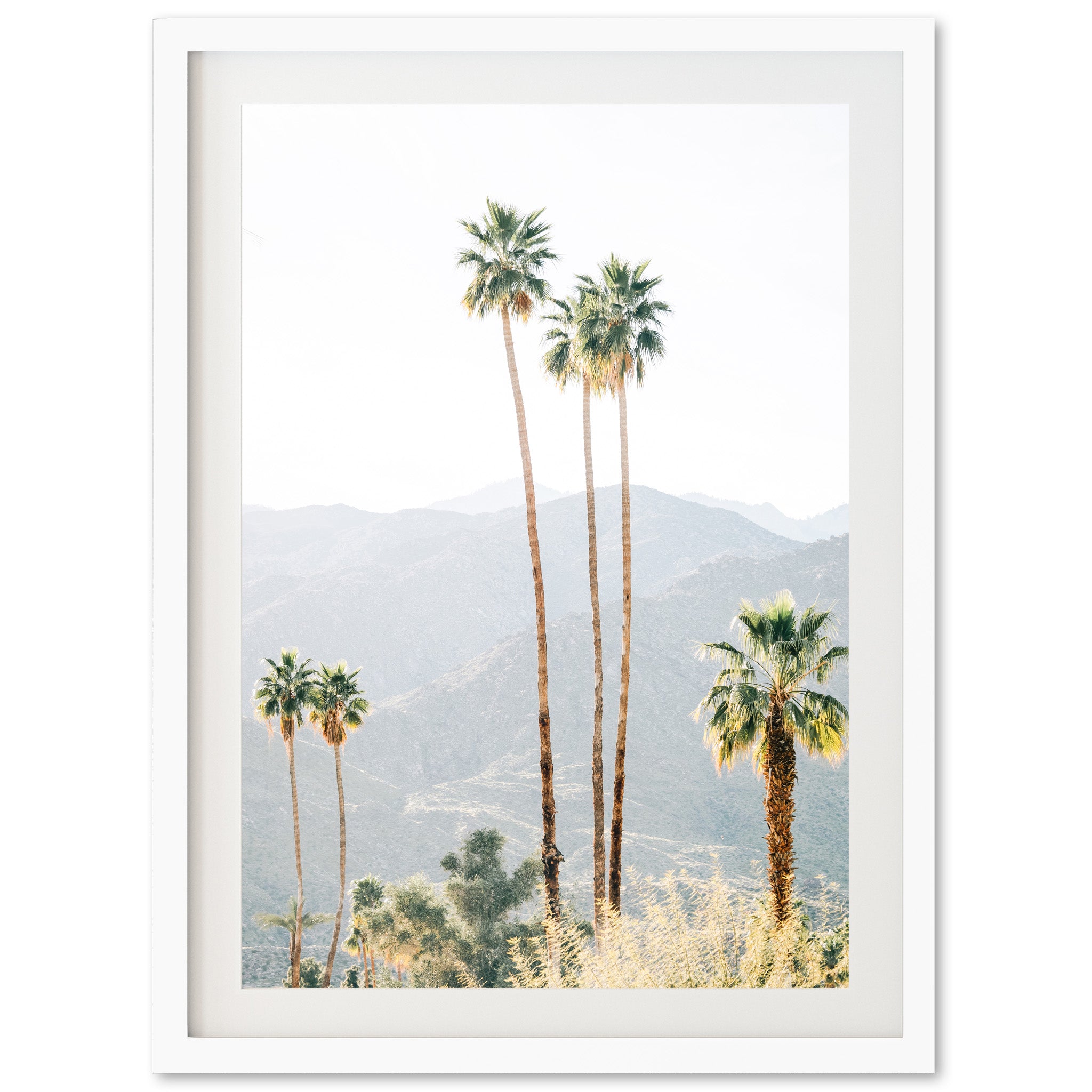 three palm trees in front of a mountain range