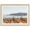 a picture of a desert landscape with a lake in the background