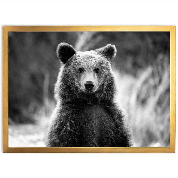 a black and white photo of a brown bear