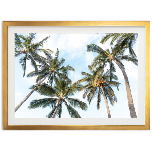 a framed photograph of palm trees against a blue sky